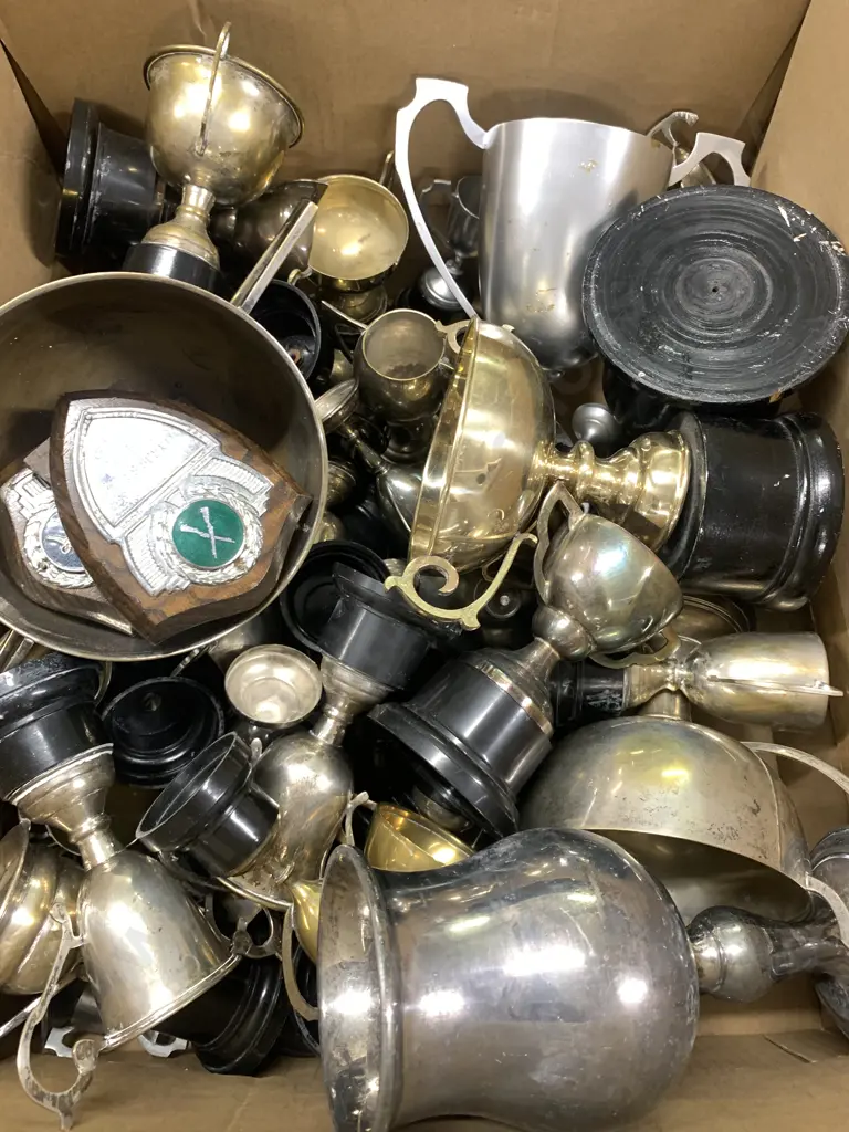 Box Lot Assorted Trophys & Cups Etc Image 1++