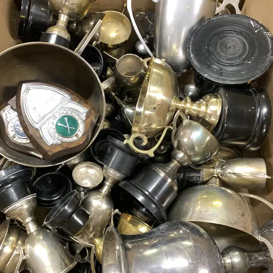 Box Lot Assorted Trophys & Cups Etc