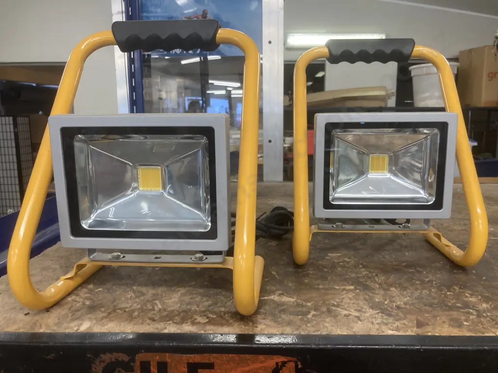 Pair of Eclipse LED Floodlights, 20W LED, IP65 Image 1++