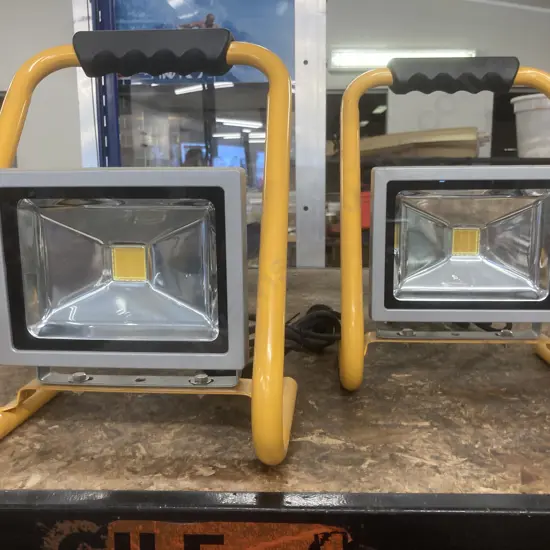Pair of Eclipse LED Floodlights, 20W LED, IP65