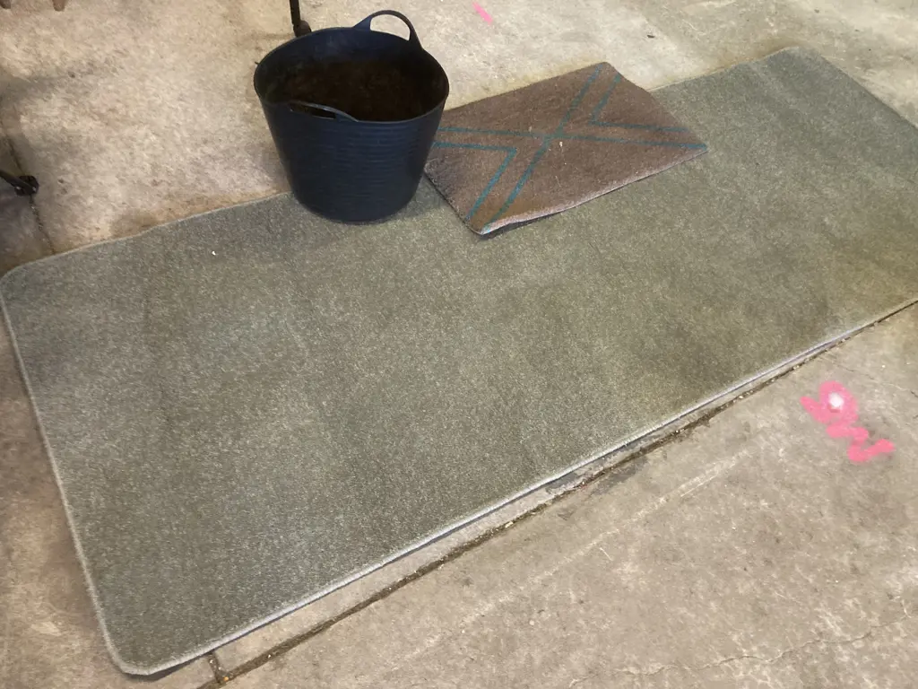 Black & Blue Outdoor Fold Up Chairs, Living & Co Coir Mat, Edged Mint Green Floor Rug, 240 x 93, Black Storage Bin Image 1++