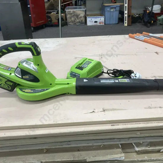 Greenworks Cordless Garden Blower With A 2.0Ah Battery & 40V Charger