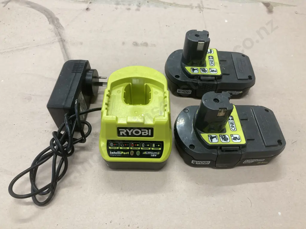 Ryobi IntelliPort Litium 18V Charger And a Pair of 2.5Ah Batteries Image 1++