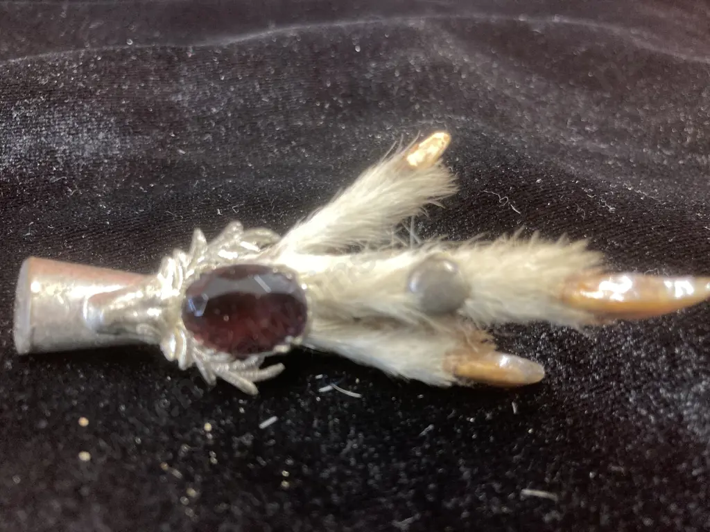 Vintage Grouse Foot and Amethyst Stone Brooch, L8cm Image 1++