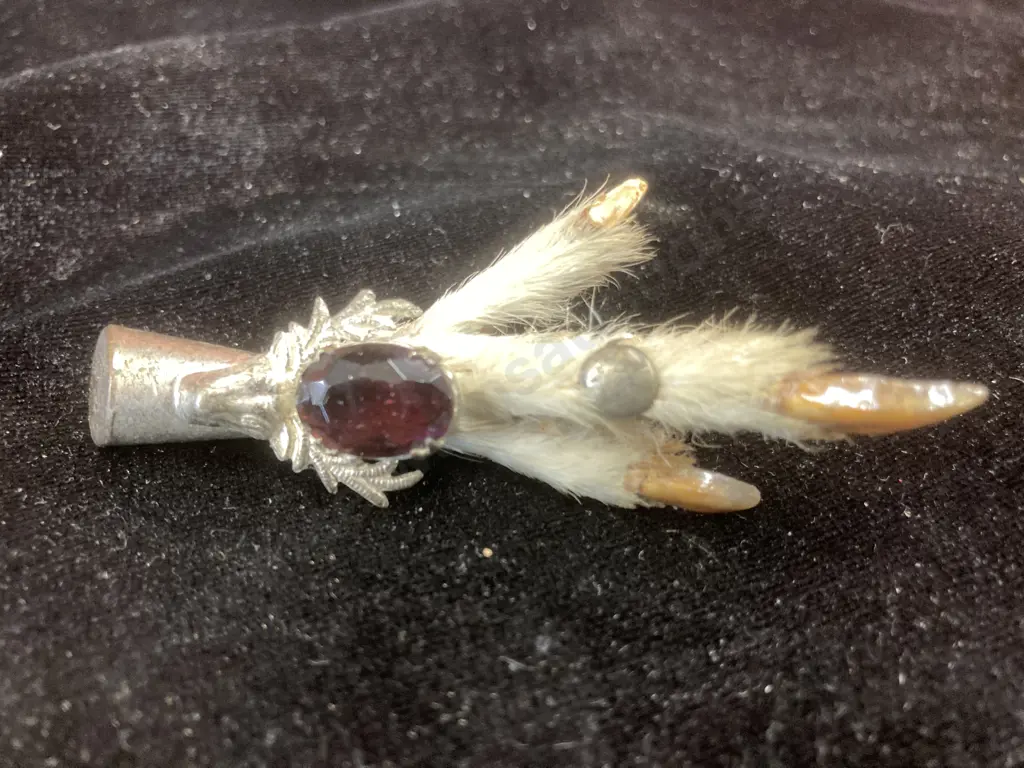 Vintage Grouse Foot and Amethyst Stone Brooch, L8cm Image 1++