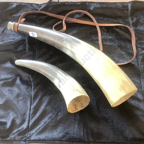 Pair of Vintage Ox Horn Horns, L37 & 22cm