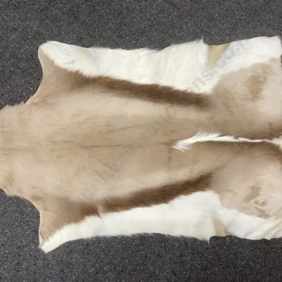 Vintage Small Impala Hide Rug Taxidermy, 90 x 62cm