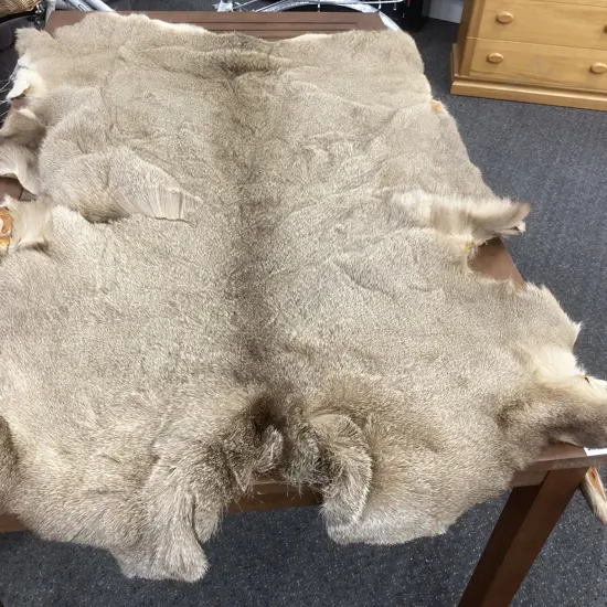 Vintage Animal Hide Floor Rug, 150 x 110cm (in af condition)