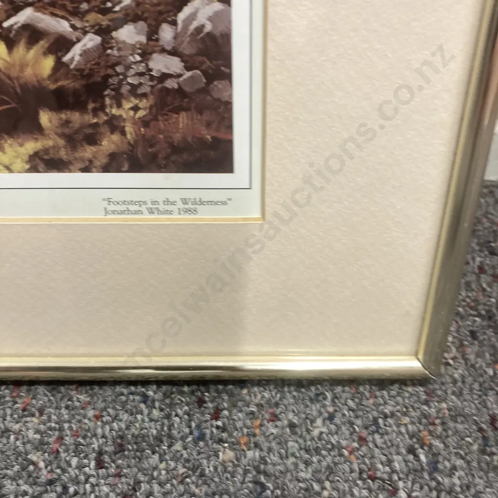 Framed Artwork by Jonathan White 1988 Footsteps In The Wilderness (Red Mountain), 46 x 59cm Image 1++