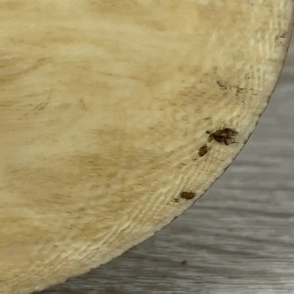 Ivory Carved Elephant Tusk H13cm. Carved from tusk. Beautiful detail Image 1++