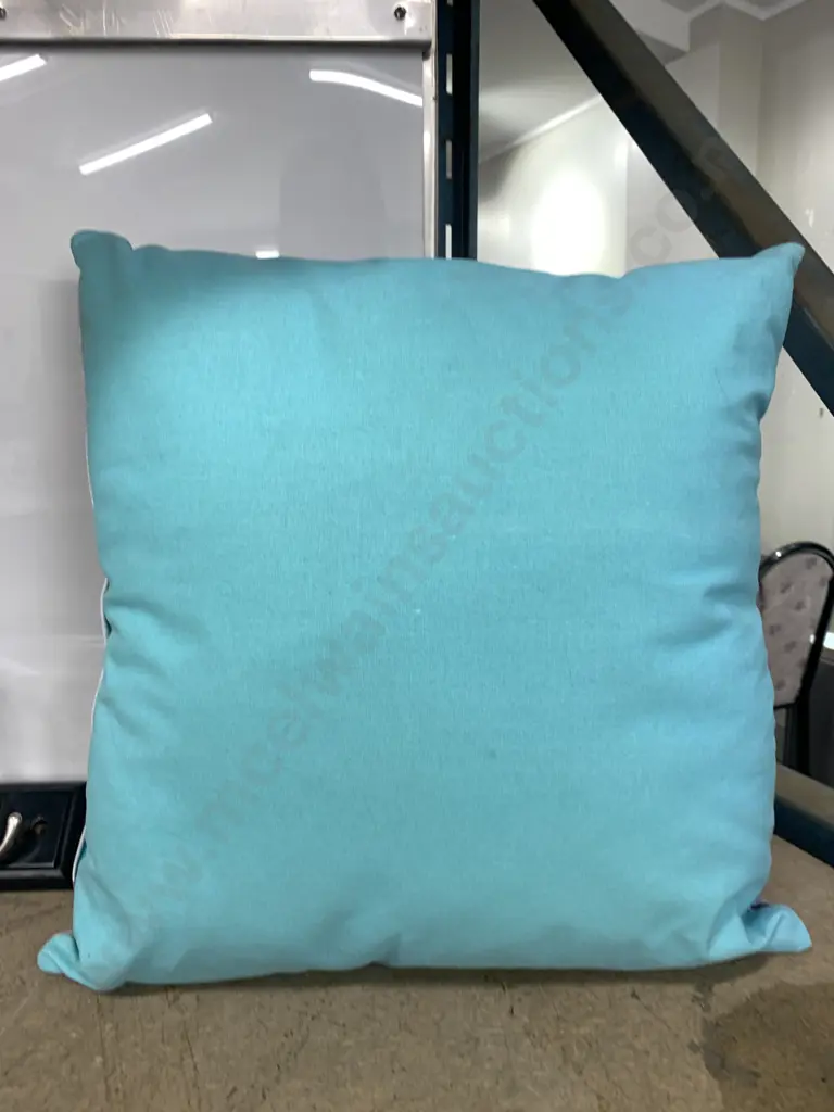 'Pigeon' Cushion, Mirror Tray & Coat Hook Image 1++