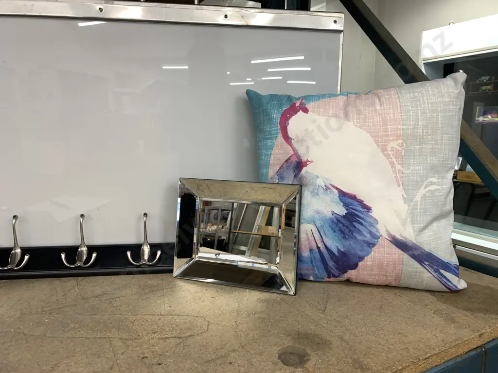 'Pigeon' Cushion, Mirror Tray & Coat Hook Image 1++