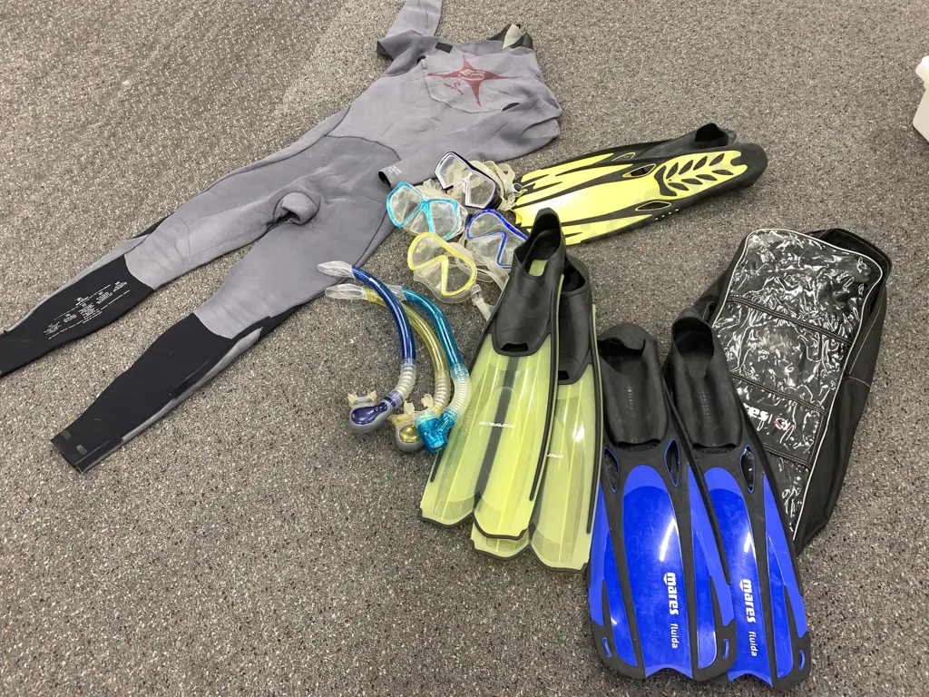 Ripcurl Size M Wet Suit, Assorted Mirage, Mares Etc Flippers, Googles & Snorkels Image 1++