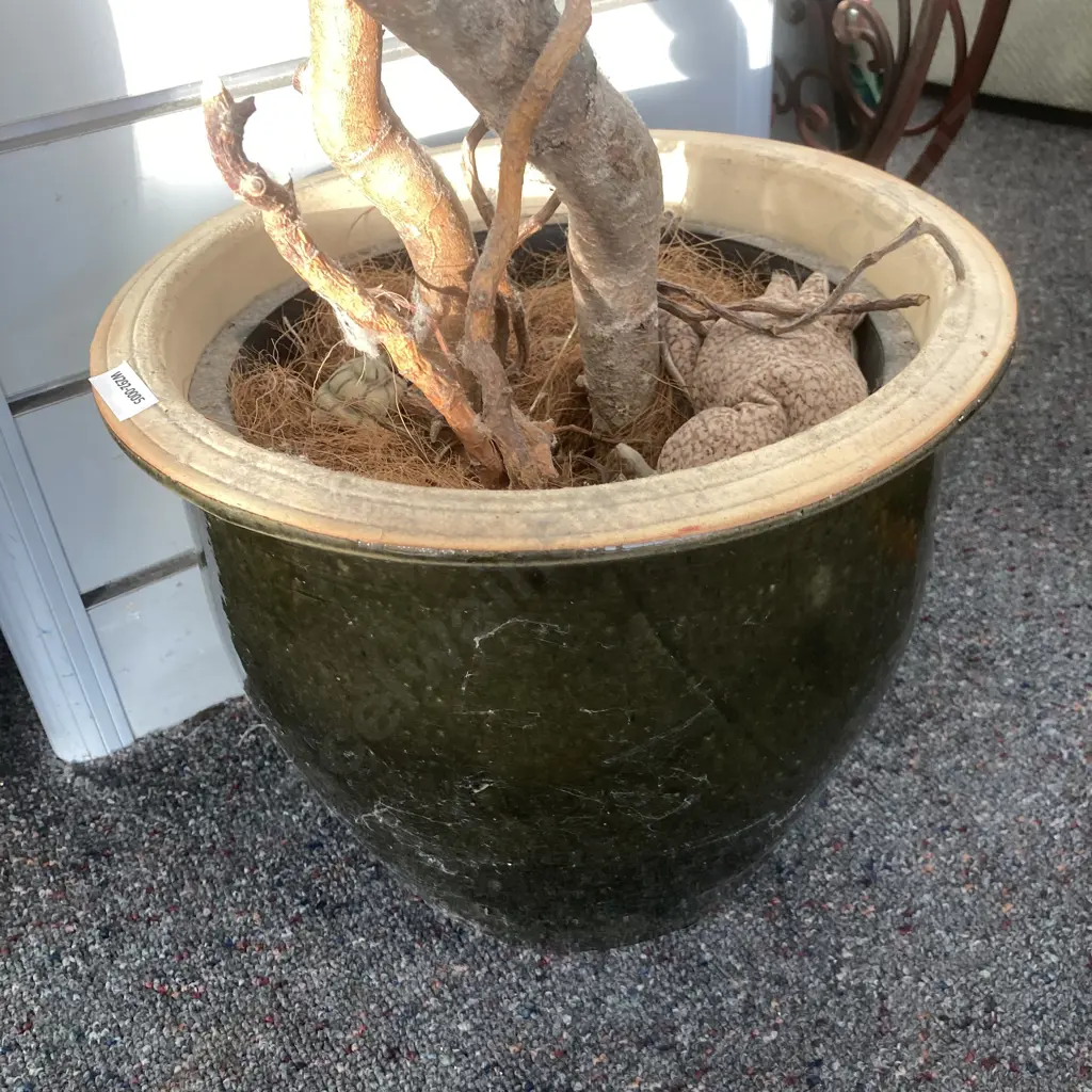 Artificial Plant In Black Pot, H130cm Image 1++