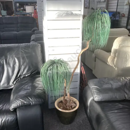 Artificial Plant In Black Pot, H130cm