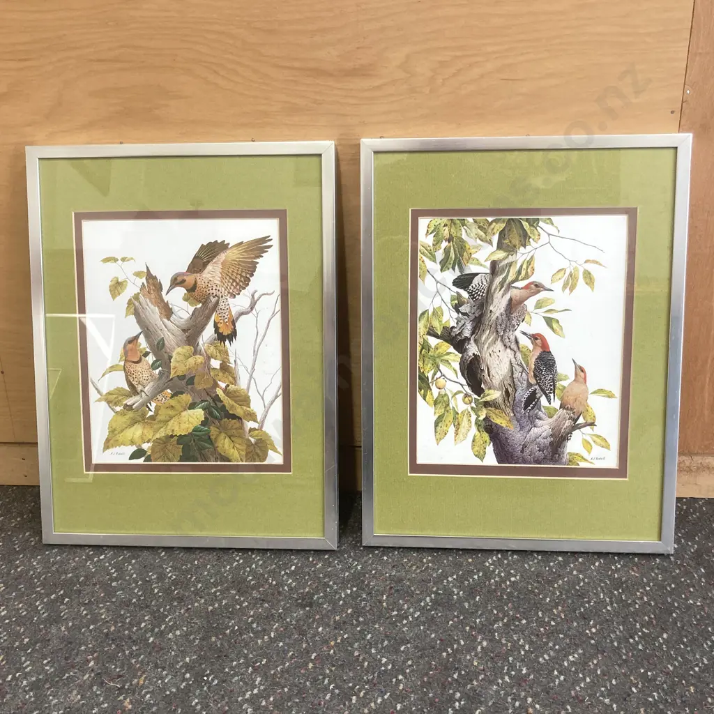 Pair of Framed Artworks by AJ Rudisill of Birds, 42 x 32cm Image 1++