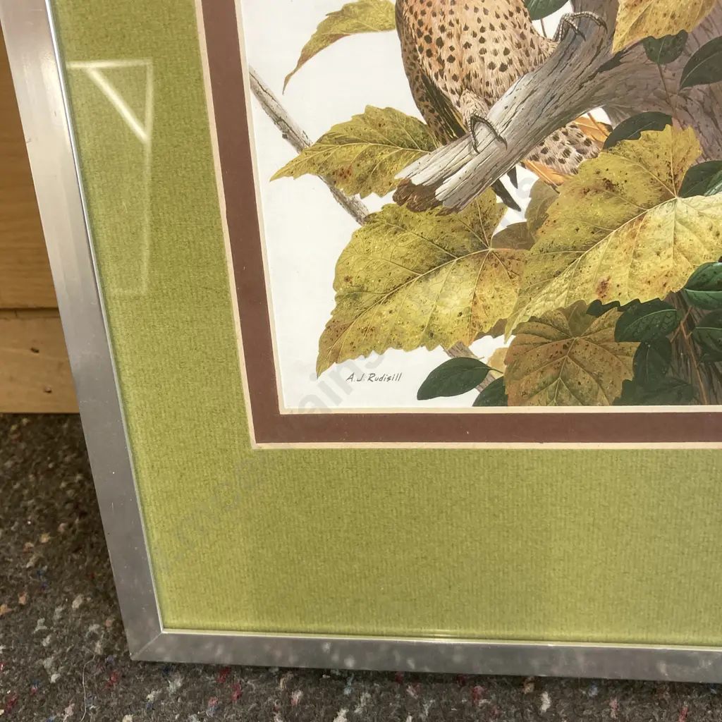 Pair of Framed Artworks by AJ Rudisill of Birds, 42 x 32cm Image 1++