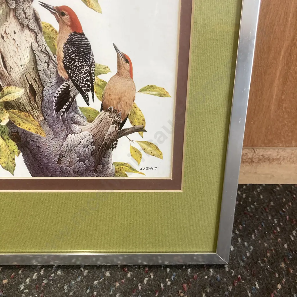 Pair of Framed Artworks by AJ Rudisill of Birds, 42 x 32cm Image 1++