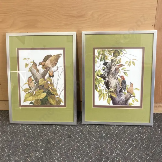 Pair of Framed Artworks by AJ Rudisill of Birds, 42 x 32cm