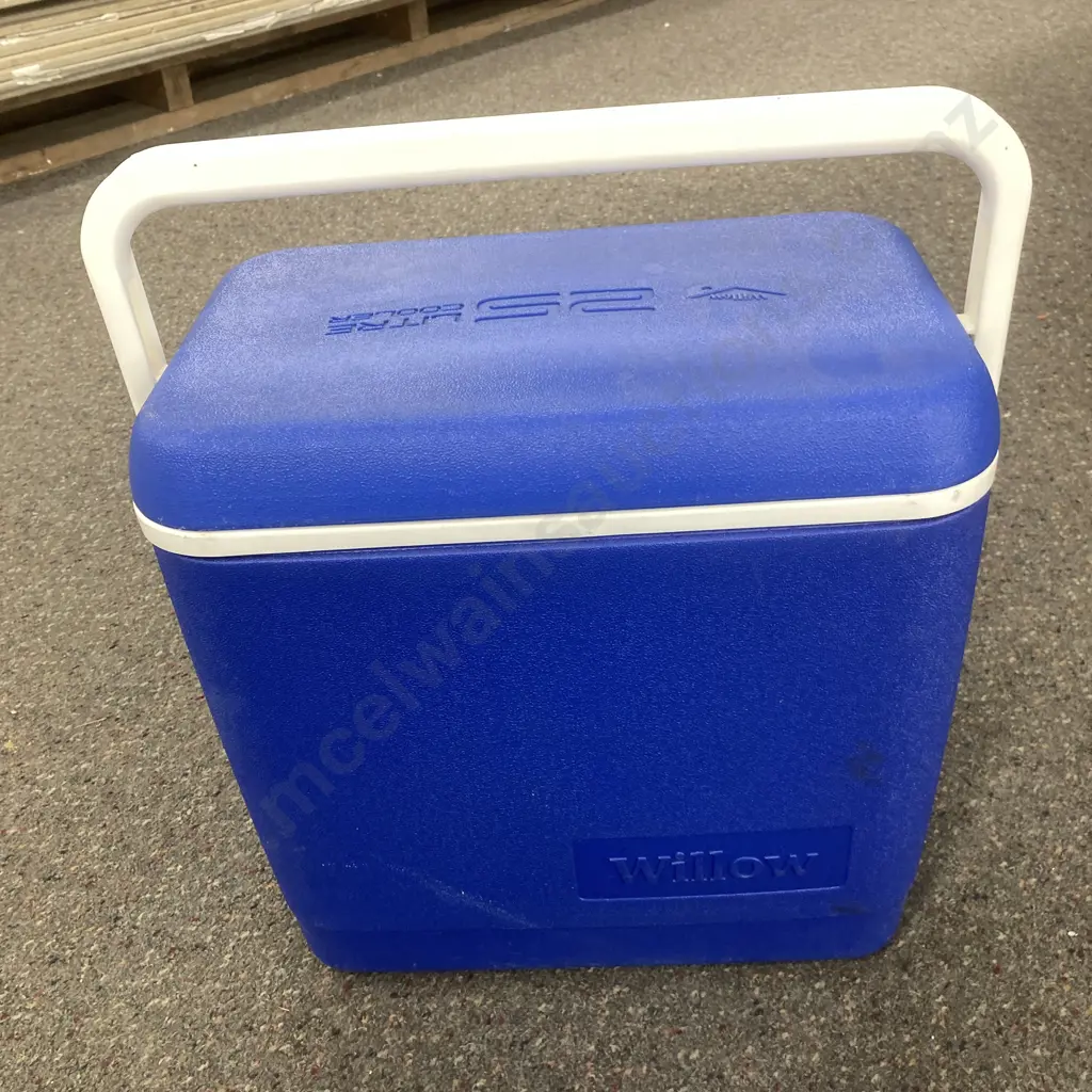 Willow 25 Litre Cooler & 3 Ice Bricks Image 1++
