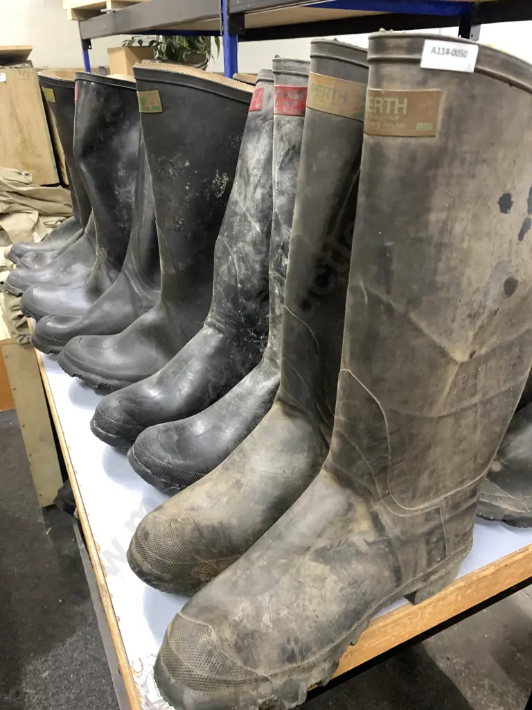 Skellerup Gumboots Size 10 x5 Pairs Image 1++