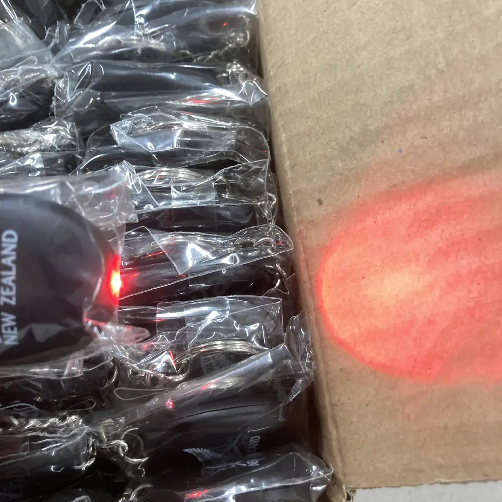 Box Lot of 100 New "New Zealand" Key Rings With Push Button LED Torch Image 1++
