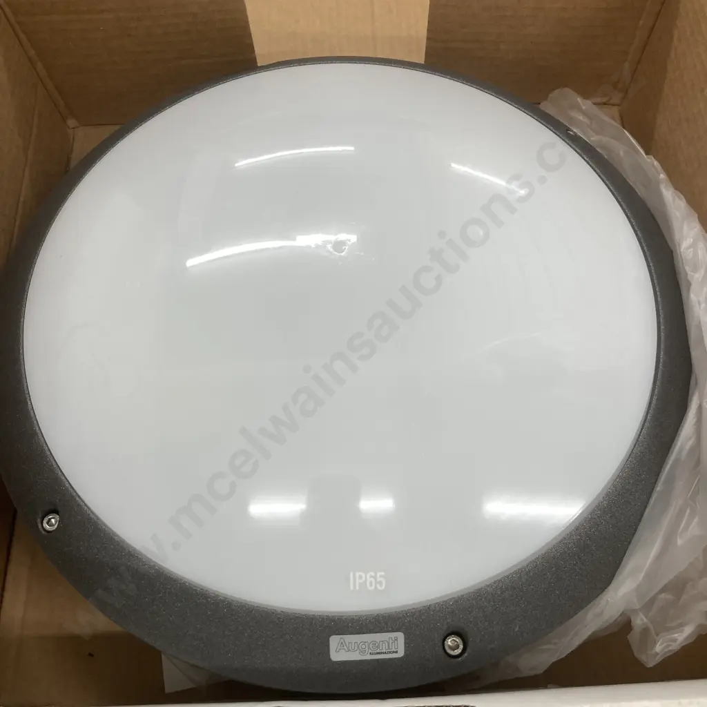 Lot of 3 New Ceiling Lights - Augenti Illuminazione 8001C/1D5.PO.30 Plafoniera & Flush Anthracite, 2x26W, IP65 Image 1++