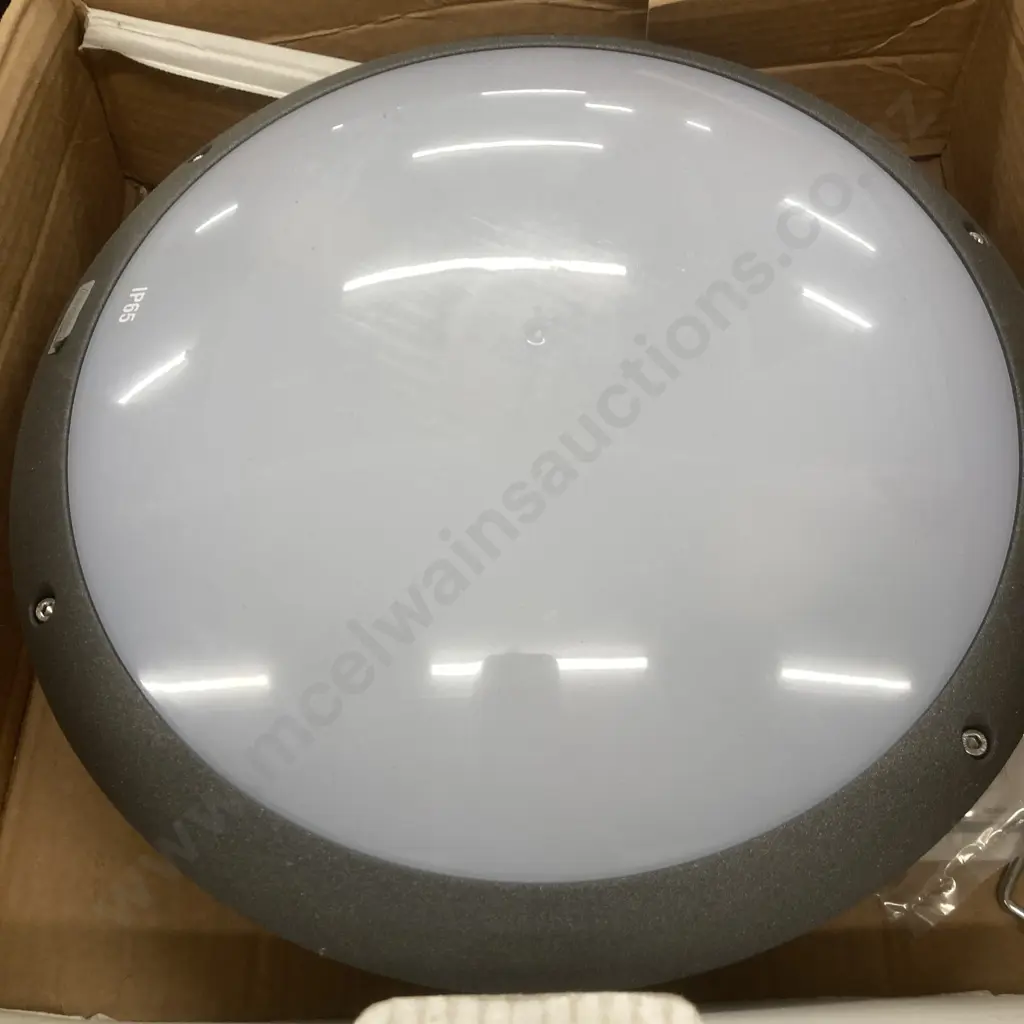 Lot of 3 New Ceiling Lights - Augenti Illuminazione 8001C/1D5.PO.30 Plafoniera & Flush Anthracite, 2x26W, IP65 Image 1++