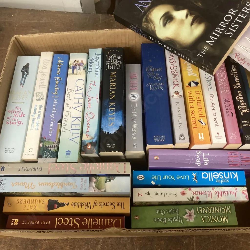Box Lot Books, Danielle Steel, Marian Keyes, Maeve Binchy, Jane Green Etc Image 1++