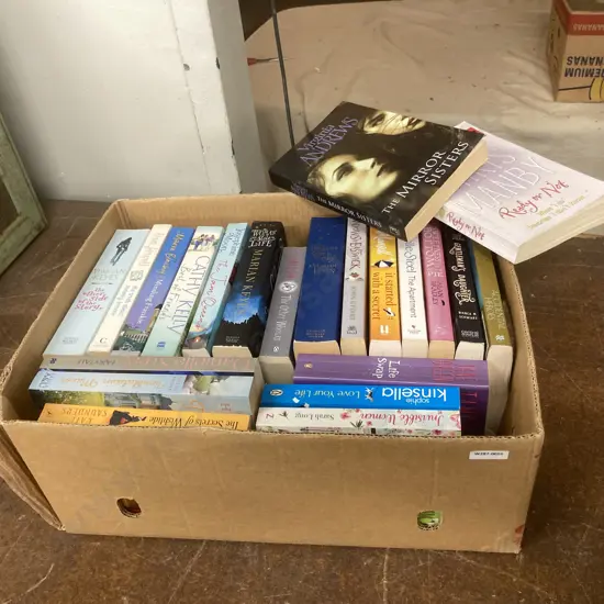 Box Lot Books, Danielle Steel, Marian Keyes, Maeve Binchy, Jane Green Etc