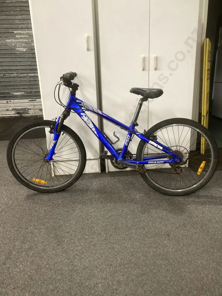 Blue Mountain Bike - Giant MTX 250 Image 1++