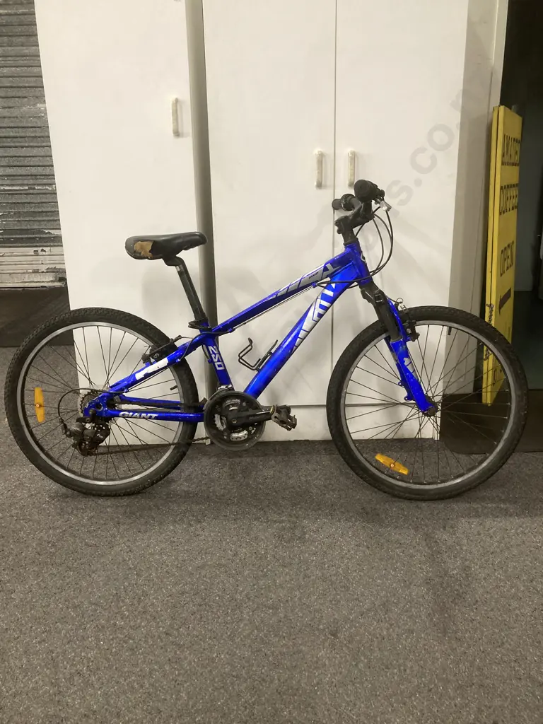 Blue Mountain Bike - Giant MTX 250 Image 1++