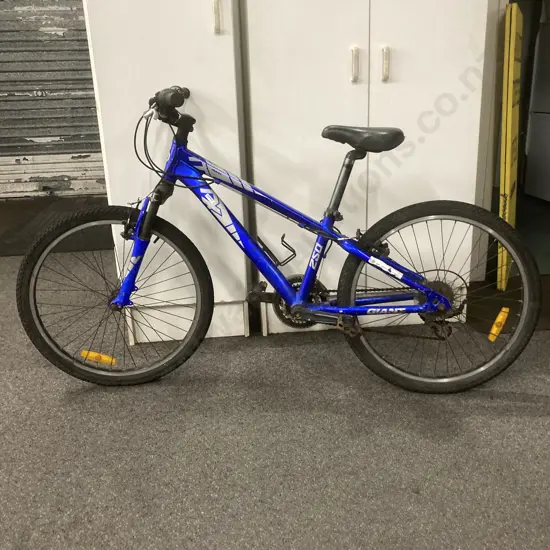 Blue Mountain Bike - Giant MTX 250