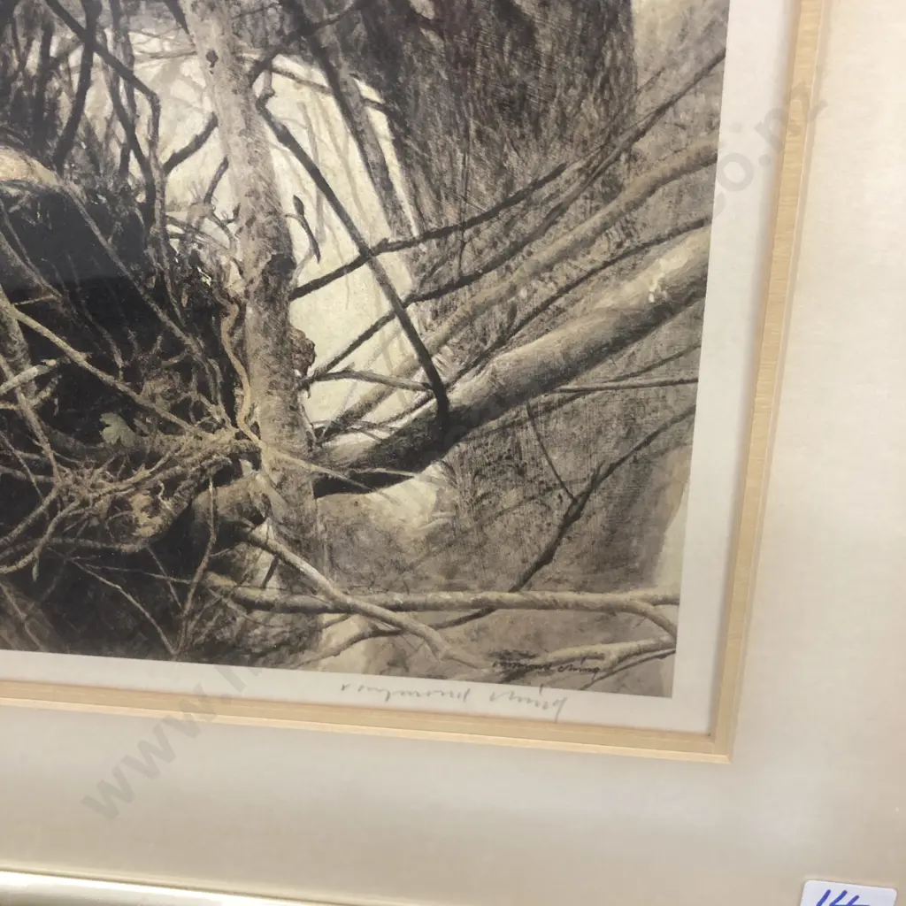 Raymond Ching Collector Print Ltd Edition Titled Autumn Wrens No572 Edition 850, 56.5 x 47.5cm Image 1++