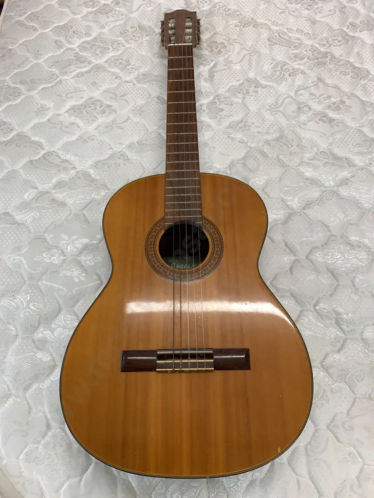 Angelica A452 Japan Guitar Image 1++