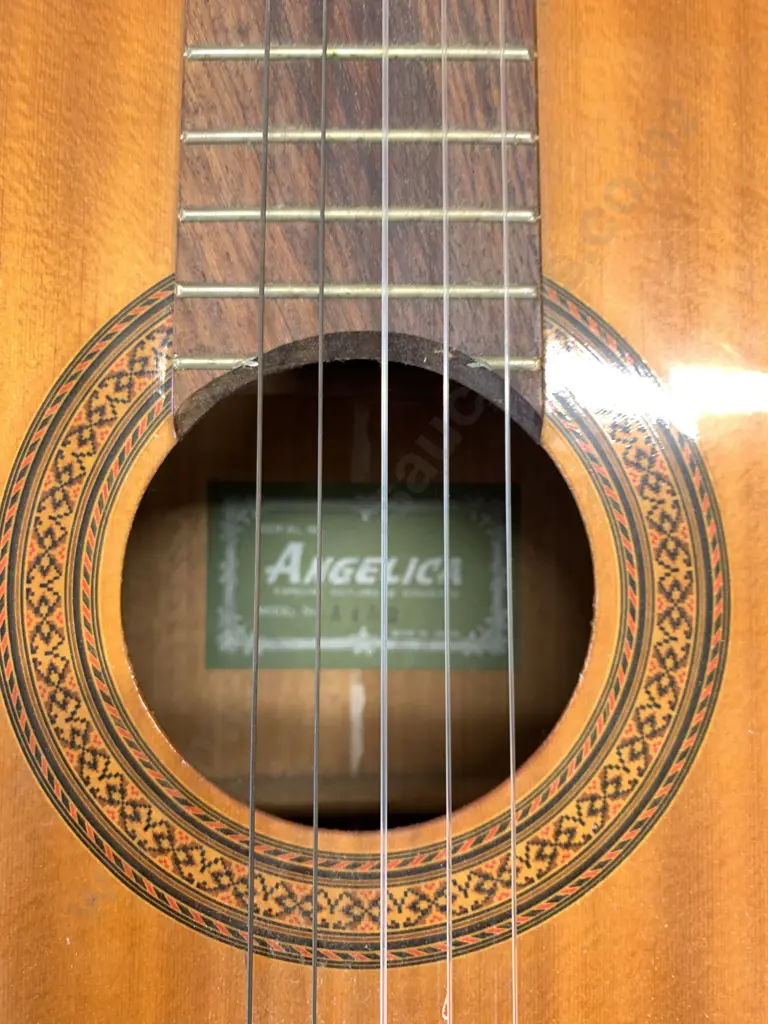 Angelica A452 Japan Guitar Image 1++