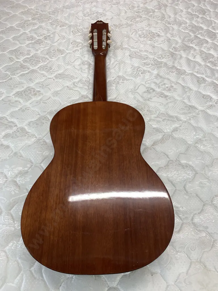 Angelica A452 Japan Guitar Image 1++