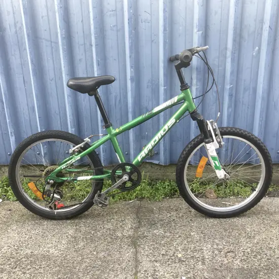 Radius Trailraiser BMX - Green Colour