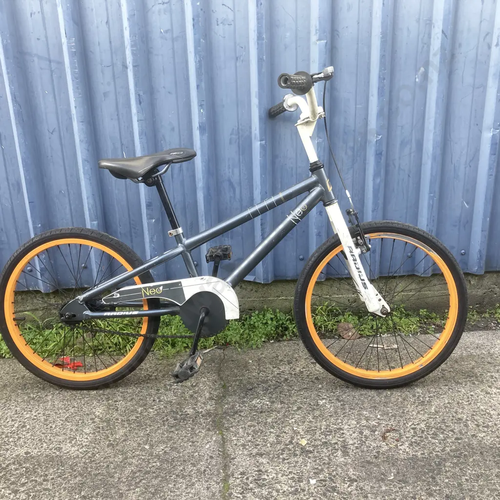 Radius Neo20 BMX - Blue / Orange Colour Image 1++