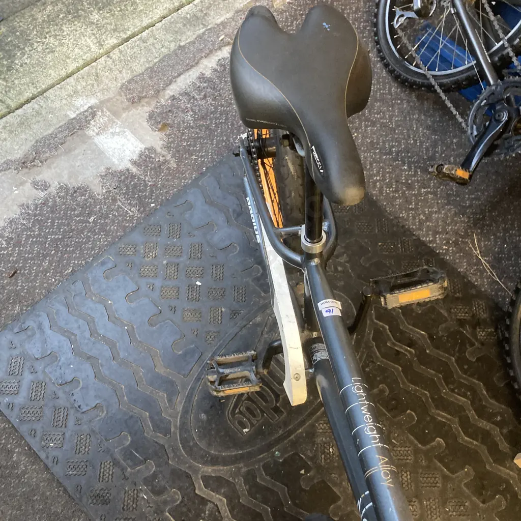 Radius Neo20 BMX - Blue / Orange Colour Image 1++