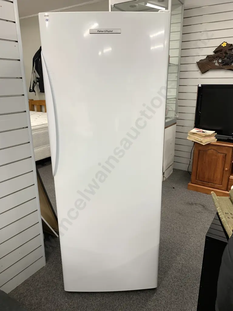 Fisher & Paykel E450R Fridge, #DPF180009, H170 W64cm, 423 Litre, White Image 1++