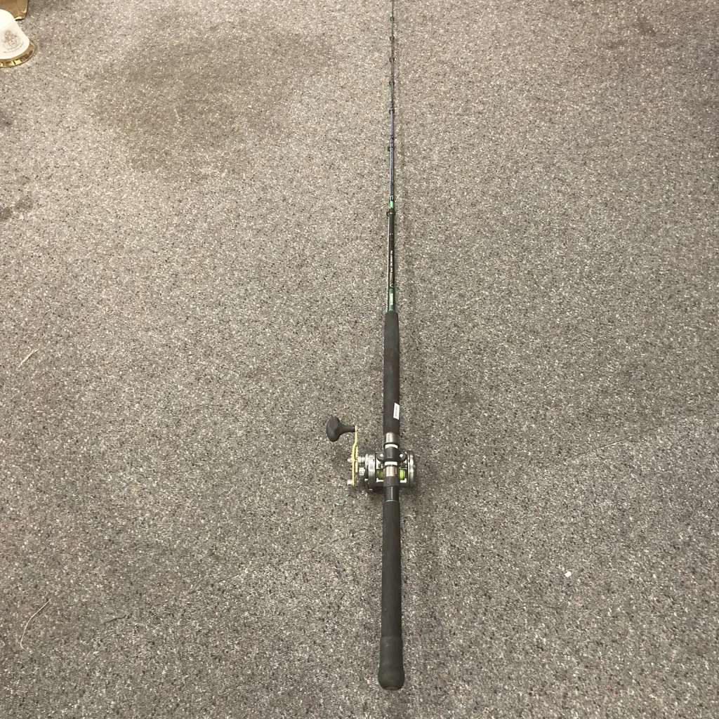 Shimano Raider 6'0" Boat Rod With Shimano Te Kota 600 Reel Image 1++