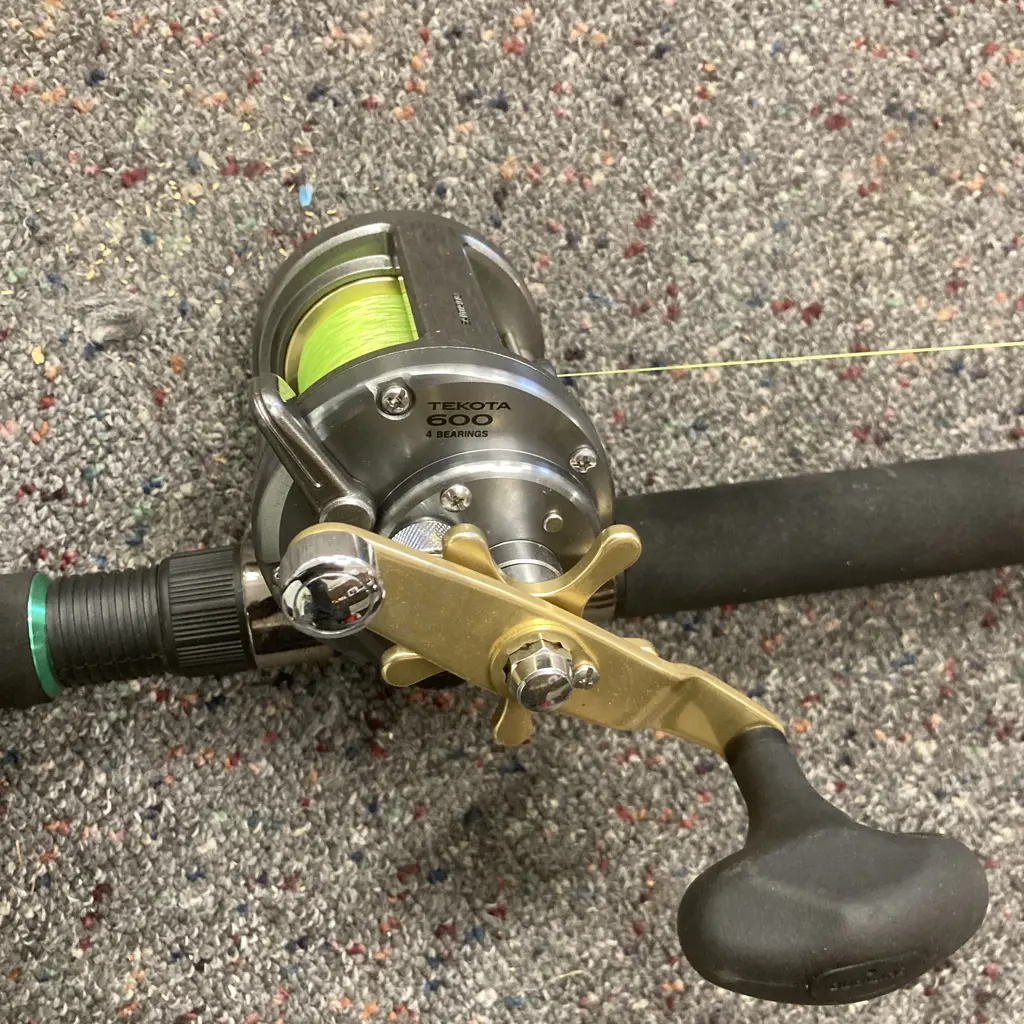 Shimano Raider 6'0" Boat Rod With Shimano Te Kota 600 Reel Image 1++