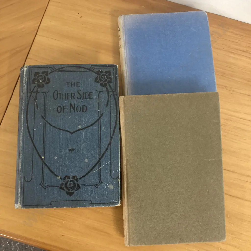 The Other Side of Nod - W.E.Cule, 1928 First Edition With Enid Blyton's Brer Rabbit & Brer Rabbits A Rascal Books Image 1++