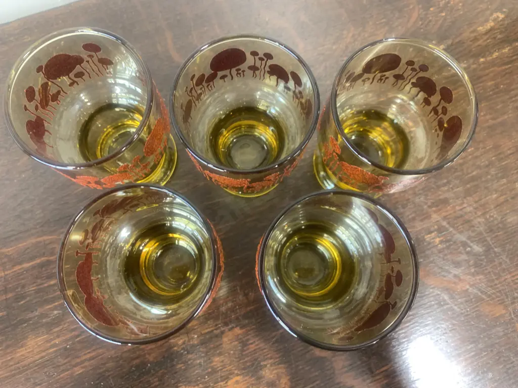 'Kaaru' Water Glasses With Mid Century Decal Honey Gold x5 H10cm Image 1++