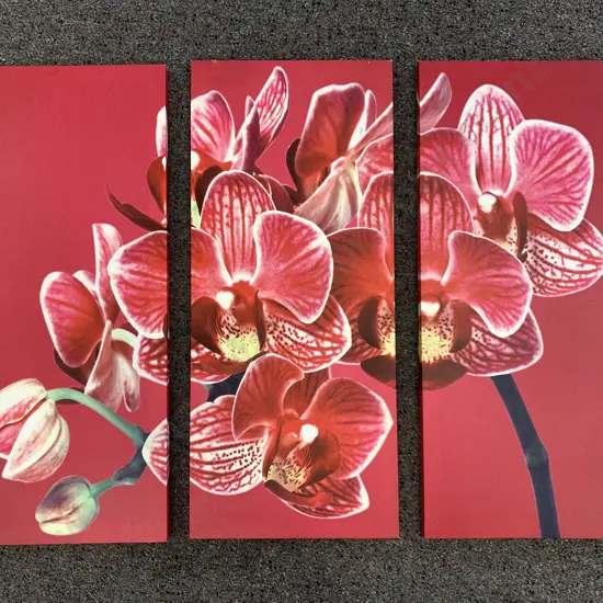 Picture On Canvas - Orchids, Set Of Three, H70cm