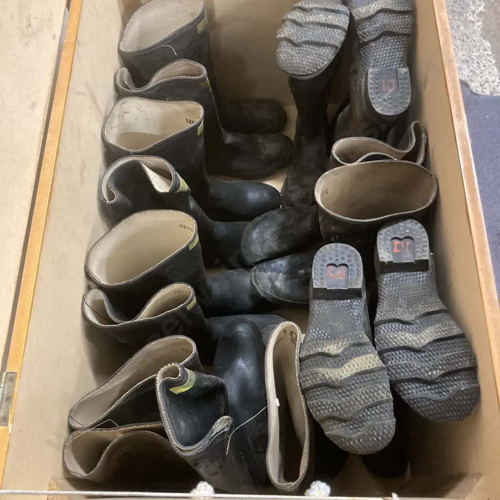 10 Pair of Sz10 Skellerup Gumboots In A Hinged Lidded Wooden Box With Rope Handles, H60 W100 D60cm Image 1++