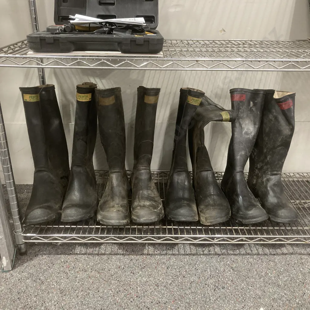 Four Pair Of Skellerup Gumboots, Sz10, 11, 12 & 13 Image 1++