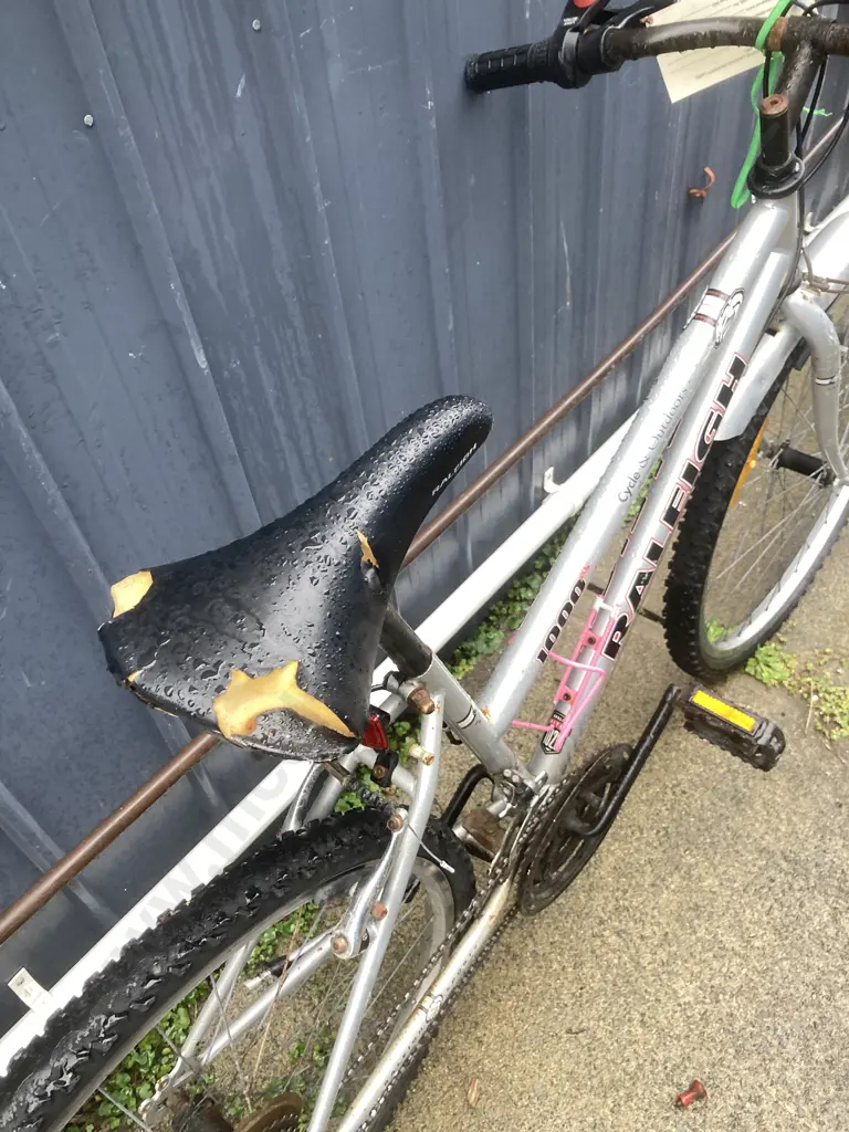 Silver Colour Raleigh Sports 1000 Ladies Bike Image 1++
