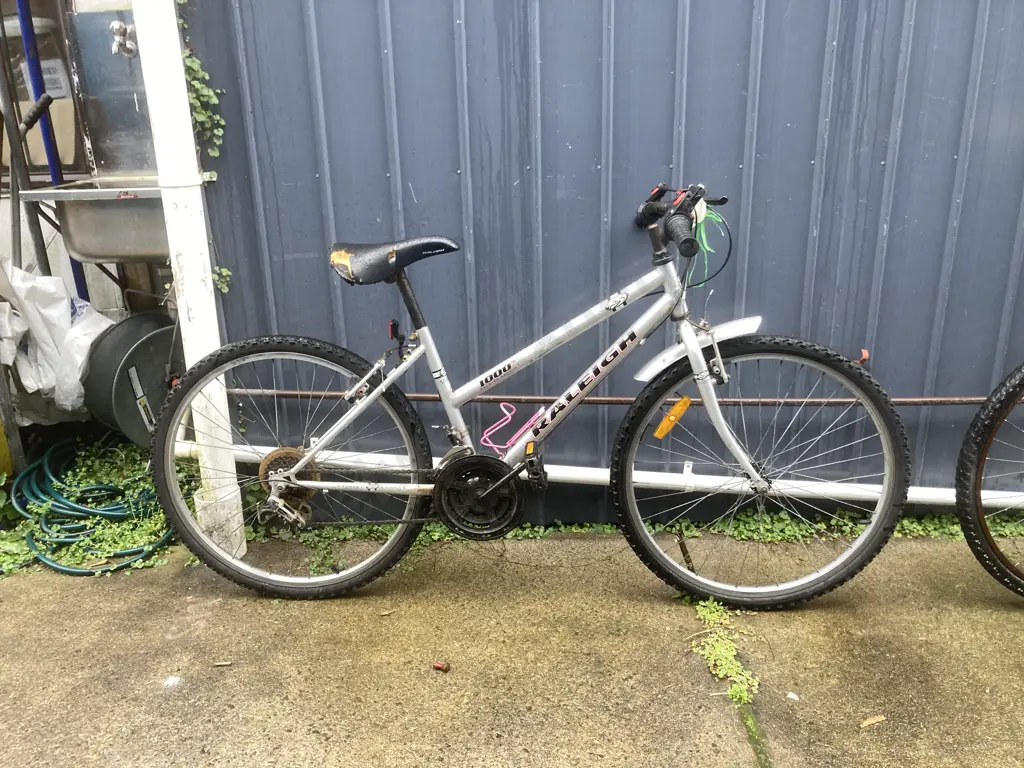 Silver Colour Raleigh Sports 1000 Ladies Bike Image 1++